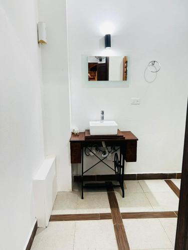 a bathroom with a sink and a mirror on the wall at Hotel Boutique Doña Celia in Aguascalientes