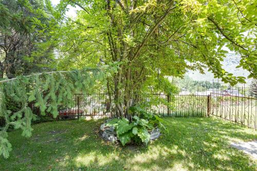 a tree in a yard next to a fence at Mountain Views Walkable Lava Hot Springs Home! in Lava Hot Springs