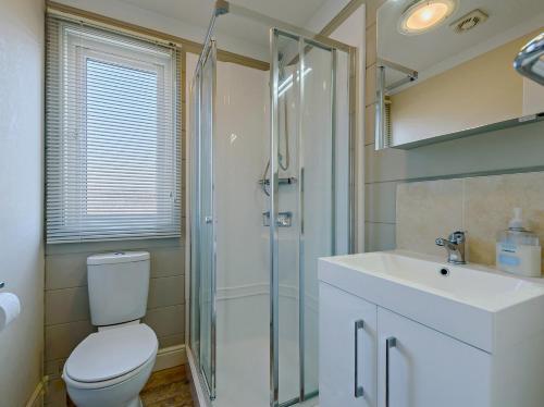 a bathroom with a toilet and a sink and a shower at 2 Bed in Stepaside 91799 in Stepaside