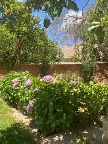 a garden with pink flowers in front of a brick fence at Cabañas Pisco Elqui in Pisco Elqui