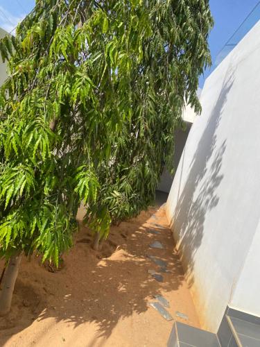 Taman di luar Villa Yassine