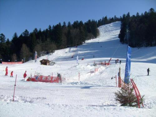 a group of people skiing down a snow covered slope at Rustic Chalet for Families in Le Ménil