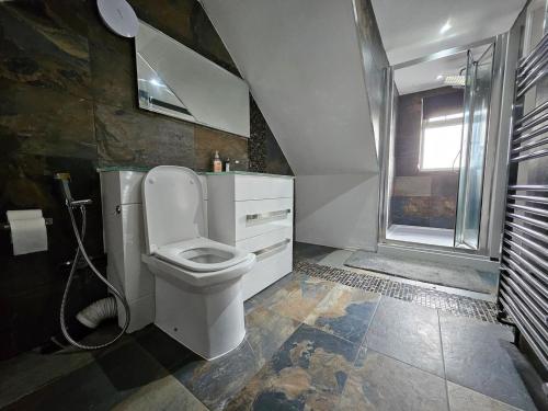 a bathroom with a toilet and a sink and a shower at Standard Single Room - Shared in Windsor