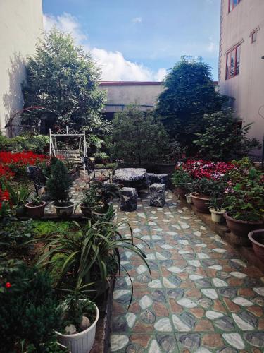 a garden with potted plants and flowers on a patio at SAPA HUB hostel in Sa Pa