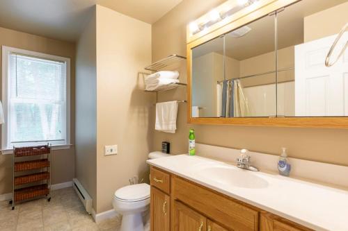 a bathroom with a sink and a toilet and a mirror at Cozy 4-Season Chalet w Arcades & Lake, Ski Lifts in Lackawaxen