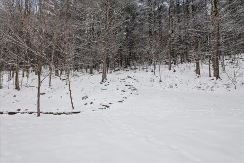 a path in a snow covered forest with trees at The Cozy Villager in Stowe