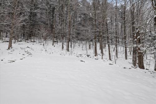 a snow covered path in a forest with trees at The Cozy Villager in Stowe