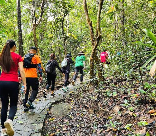 a group of people walking on a path in the forest at Hiwinwin Homestay Holiday in Chợ Phước Hải