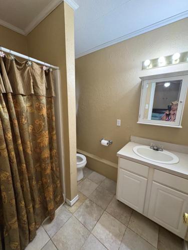a bathroom with a sink and a toilet and a shower at West Tawakoni Lake House in West Tawakoni