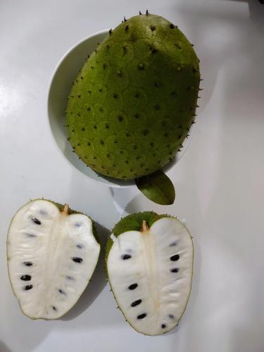 two halves of a kiwi fruit on a table at Hostal Macaw in Guayaquil