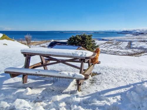 a dog sitting on a bench in the snow at Wavecrest in Staffin