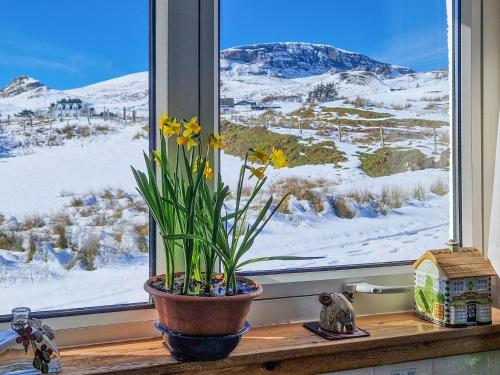 a flower in a pot on a window sill with a snow covered mountain at Wavecrest in Staffin
