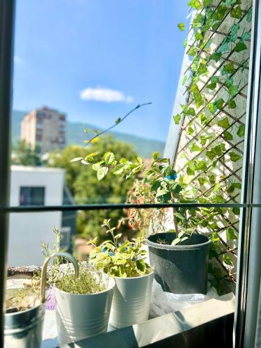 Skopje şehrindeki FLOW place tesisine ait fotoğraf galerisinden bir görsel