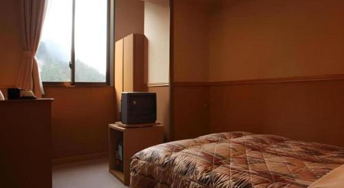 a bedroom with a bed and a tv at Hotel Hikyounoyu in Miyoshi