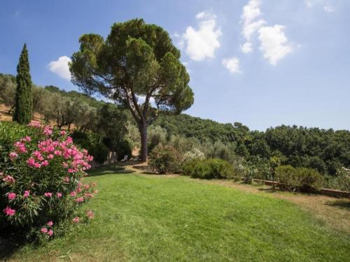 a green yard with a tree and pink flowers at Apartment in Tuscany near Montecatini Golf Club in Larciano