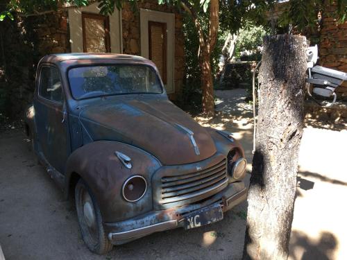 an old truck is parked next to a tree at Ashbourne Country Escape Hazyview in Hazyview