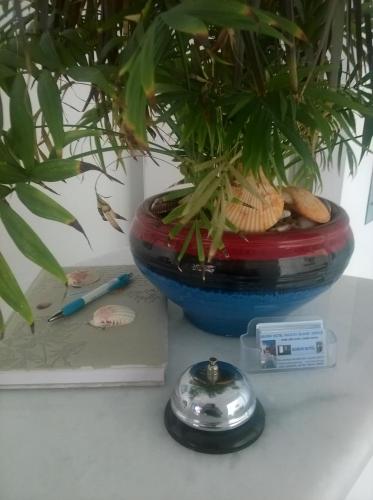 a plant in a red and blue bowl next to a book at Doron Hotel Delfini in Naxos Chora