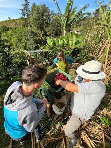 a group of people working in a garden at Cabaña Momotus II in Concepción