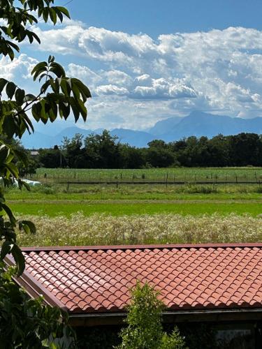 a red roof with a field and mountains in the background at Guest House Italo & Anna in Pasian di Prato