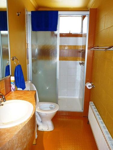 a bathroom with a shower and a toilet and a sink at Sun Valley Apartment 7 in Falls Creek