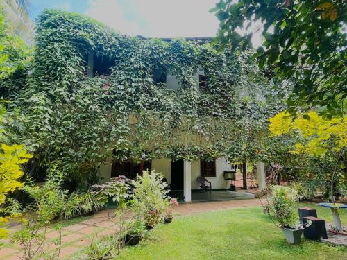 a building covered in ivy in a garden at Aloe Vera Guest House in Dambulla
