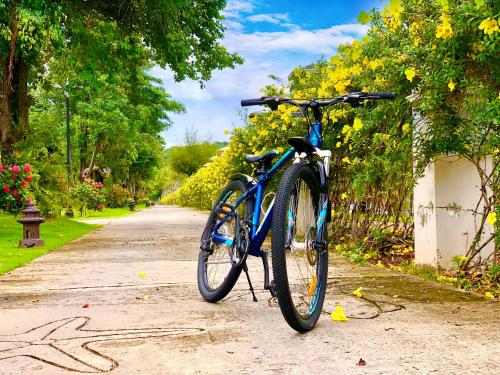 a blue bike parked on the side of a road at Mercury Phu Quoc Resort & Villas in Phu Quoc