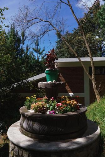 Κήπος έξω από το Find Your Perfect Mountain Retreat at House Water