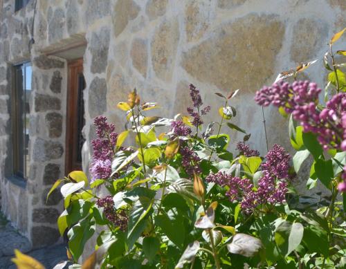 Κήπος έξω από το Hostal Refugio De Gredos