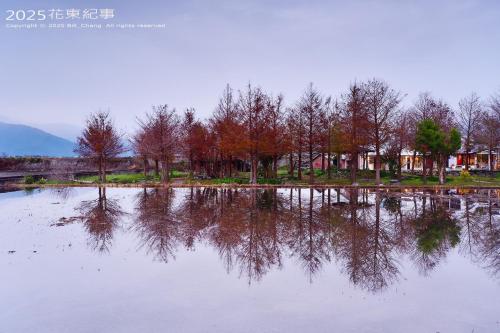 a reflection of trees in a body of water at 好和院景 How Has in Chishang