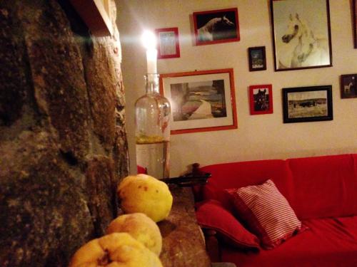 Χώρος καθιστικού στο Hostal Refugio De Gredos