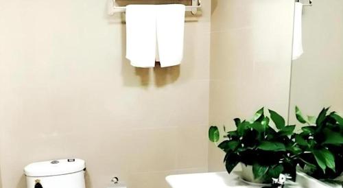 a bathroom with a potted plant sitting on a sink at GreenTree Inn Langfang GuAn County Xinyuan Street Express Hotel in Langfang