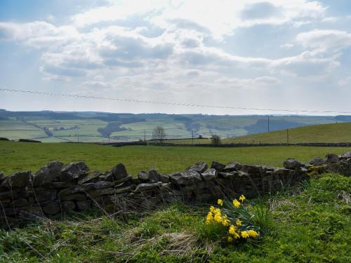 a stone wall in a field with yellow flowers at The Stables Studio in Haydon Bridge