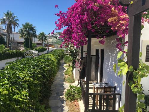 a walkway with bougainvillea hanging from a building at Salinas Hotel in Gümbet