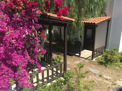 a garden with purple flowers on a fence at Salinas Hotel in Gümbet