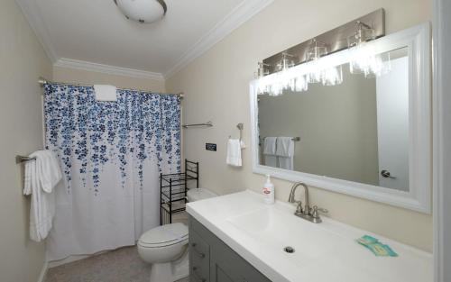 a bathroom with a sink and a toilet and a shower at Whiskey Ridge in Sevierville