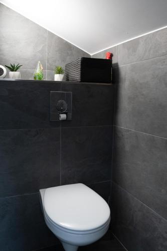 La salle de bains est pourvue de toilettes blanches et d'un mur noir. dans l'établissement Duplex rénové parking gratuit Lyon 9, à Lyon