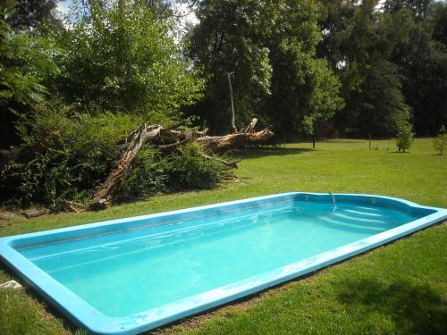 a blue swimming pool in the grass in a yard at Cabañas Las Lavandas en Pilar in Pilar