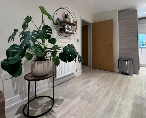 a living room with a potted plant on a table at Cosy & Homely Stay in Maidenhead in Maidenhead