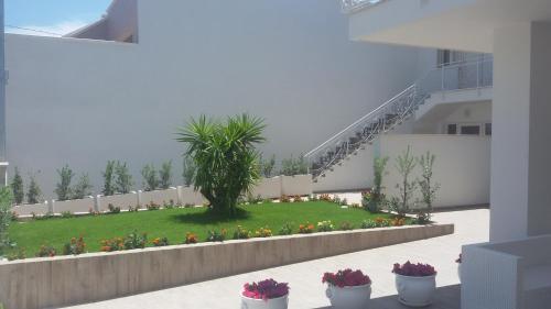 Corallo Home في كاروفينيو: ساحة فيها نخلة وزهور في مبنى