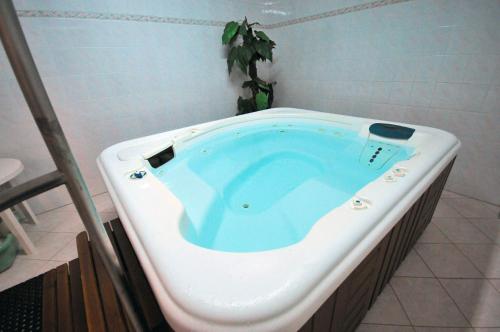 a jacuzzi tub in a bathroom with a plant at SANATORIUM RABKA ZDRÓJ Cegielski - w trakcie remontu in Rabka-Zdrój