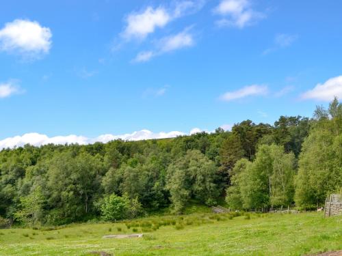 a grassy field with trees in the background at The Old Back Kitchen At Bonfield Ghyll Farm in Chop Gate