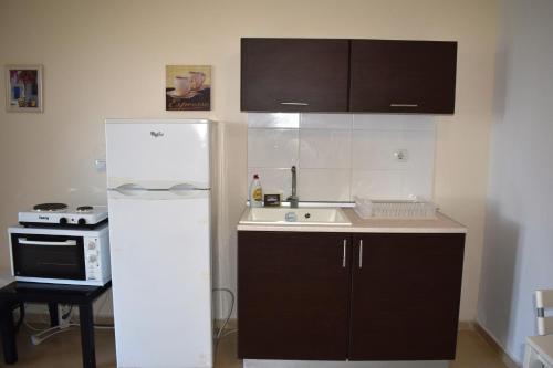 a kitchen with a white refrigerator and a sink at Kripis Studio Paliouri in Paliouri
