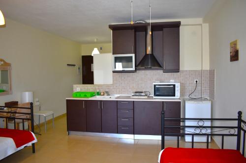a kitchen with a sink and a microwave at Kripis Studio Paliouri in Paliouri