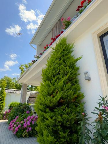 a christmas tree in front of a house with flowers at Twin Villas Gabala in Gabala