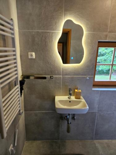 a bathroom with a sink and a mirror at APARTMENTS ROGLA LUKANJA 1 in Oplotnica
