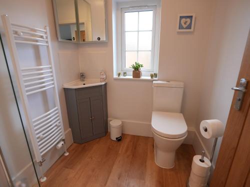 a bathroom with a toilet and a sink and a window at Romsey Brewery House - circa 1893 in Romsey