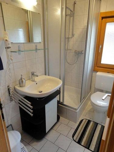 a bathroom with a sink and a shower and a toilet at Naturerlebnisdorf Stamsried 2 in Stamsried