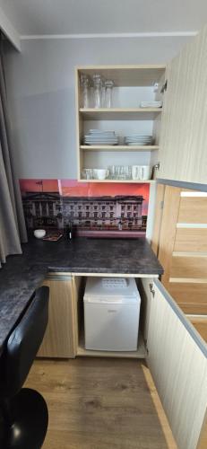 a small kitchen with a counter and a shelf at Metropolis Apartamenty Centrum in Kalisz