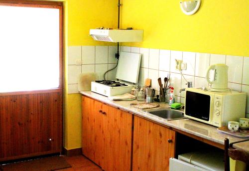 Kuchyň nebo kuchyňský kout v ubytování Czanadomb apartman