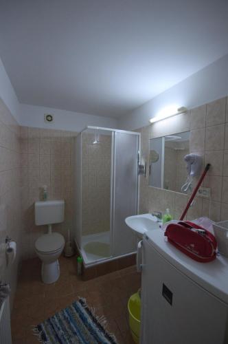 a bathroom with a shower and a toilet and a sink at Czanadomb apartman in Cserkút